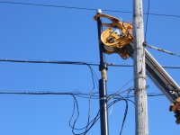 Highlight for Album: Winter 2012-13 projects